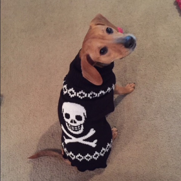 Meet your Posher, Tiffany - Picture 6 of 8